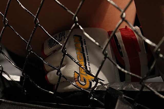 MMA Training